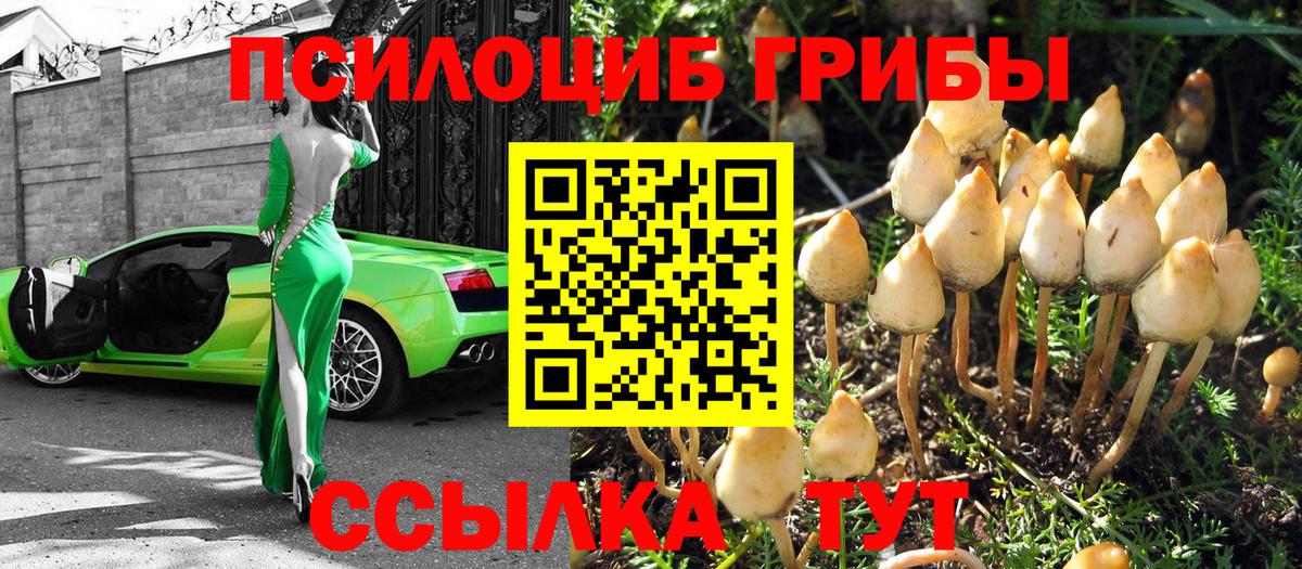 МЕФ Камышлов