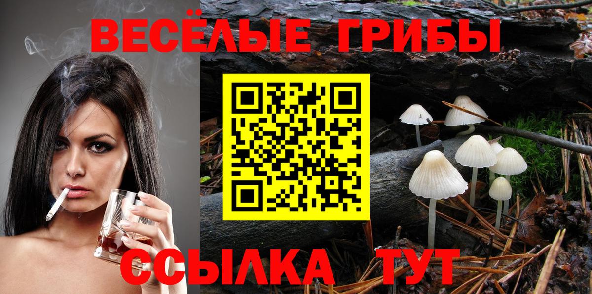 Камышлов  Псилоцибиновые грибы мухоморы  Вход с VPN 